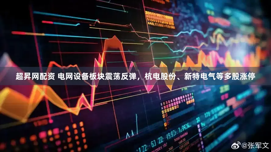 超昇网配资 电网设备板块震荡反弹，杭电股份、新特电气等多股涨停