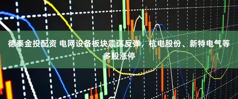 德泰金投配资 电网设备板块震荡反弹，杭电股份、新特电气等多股涨停
